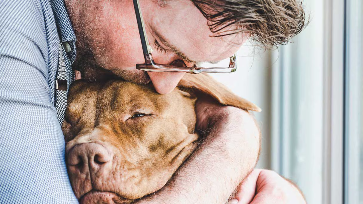 Grooming Your Furry Friend